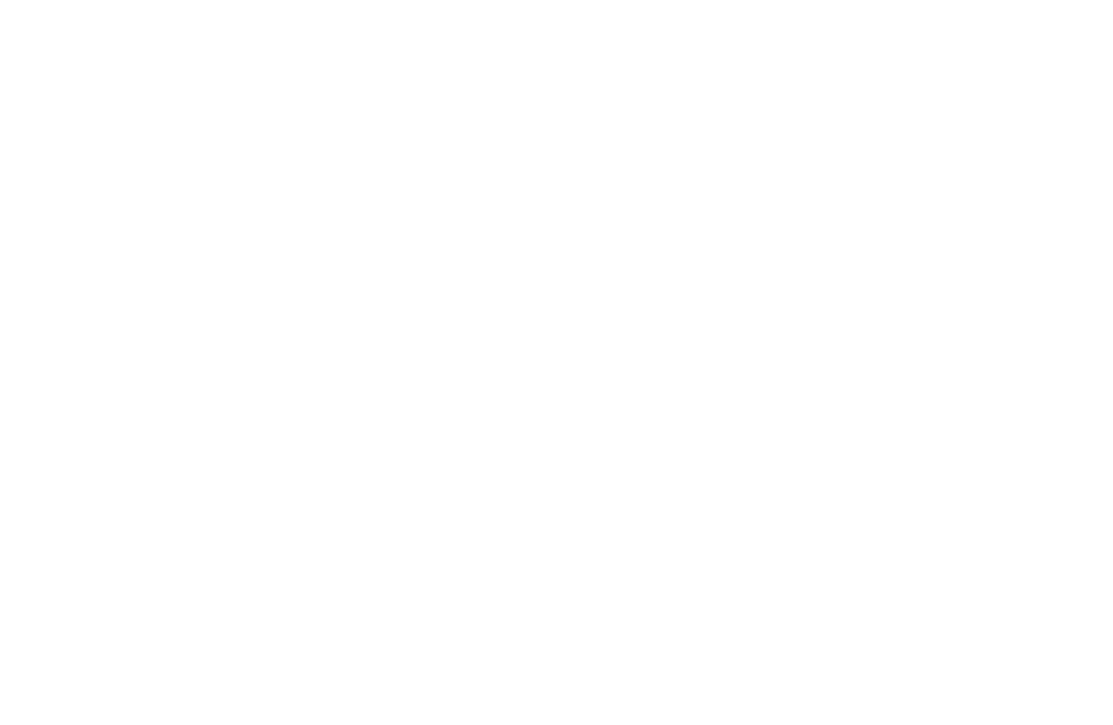 vojtaas logo